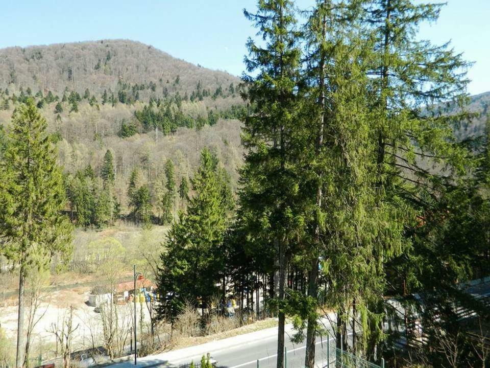 Villa Casa Cristian Sinaia Esterno foto